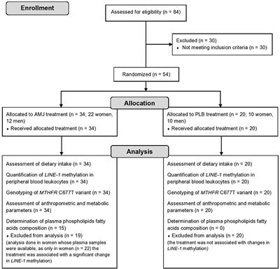 Polyphenol-Rich Aronia melanocarpa Juice Consumption Affects LINE-1 DNA Methylation in Peripheral Blood Leukocytes in Dyslipidemic Women